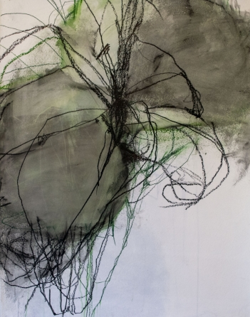 A Selection of Drawings by Andrea Rosenberg