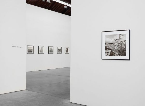 Lee Friedlander