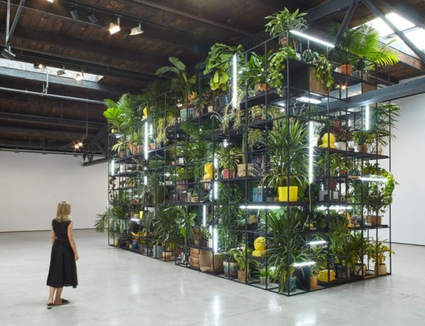 Rashid Johnson