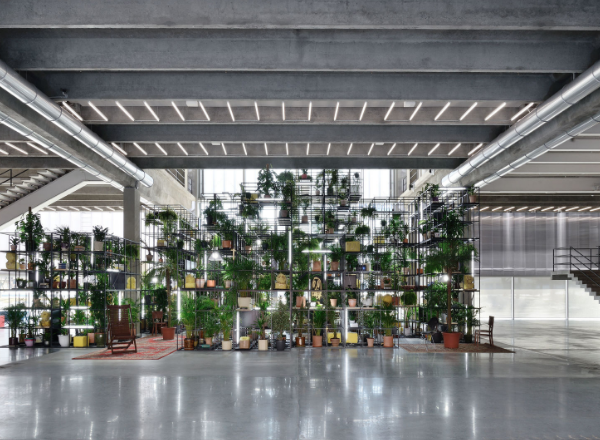 Rashid Johnson