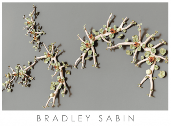 BRADLEY SABIN