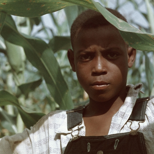 Gordon Parks: The Eye That Feels
