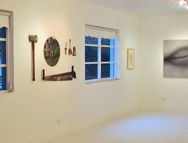 Betty Tompkins "Paintings and Works on Paper, 1972-2013"