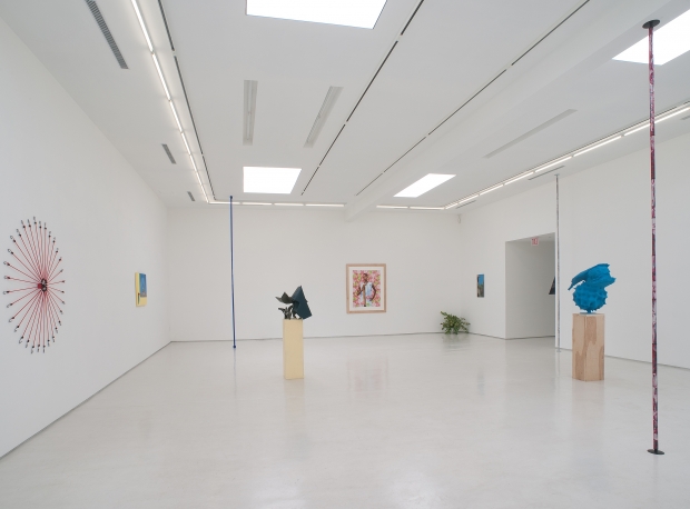 Wild Thing Installation View