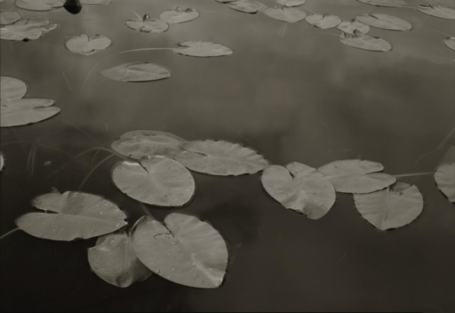 Koichiro Kurita