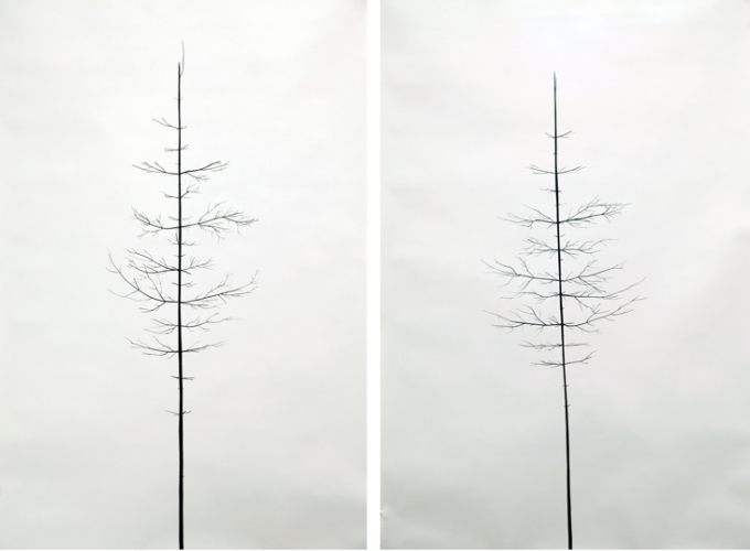 Peter Liversidge
