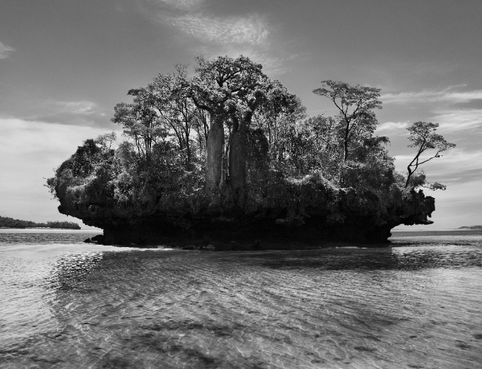 Sebastião Salgado