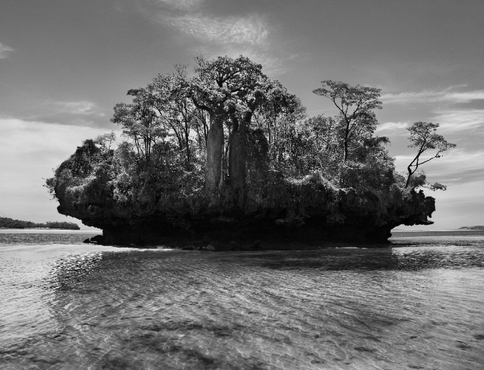 Sebastião Salgado