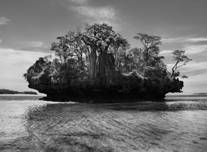 Sebastião Salgado