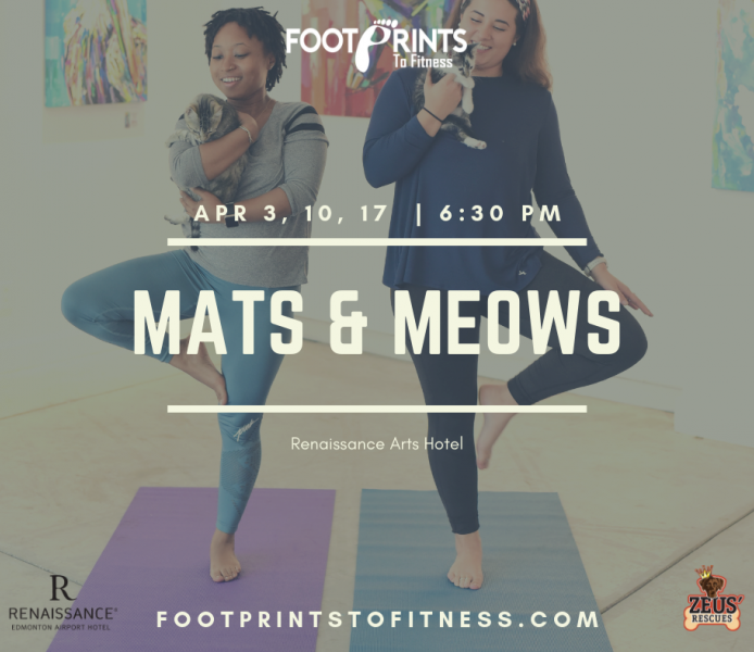 Mats & Meows
