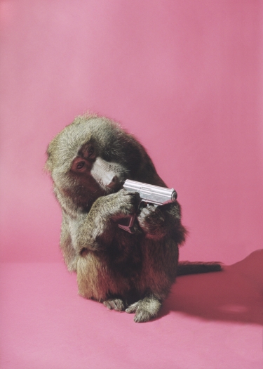 Heji Shin You Are Fired I, 2016 C-print 31.5 x 22.44 inches (80 x 57 cm)