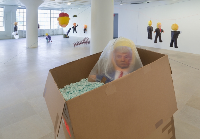Rachel Harrison, Installation view, More News: A Situation, Greene Naftali, New York, 2016