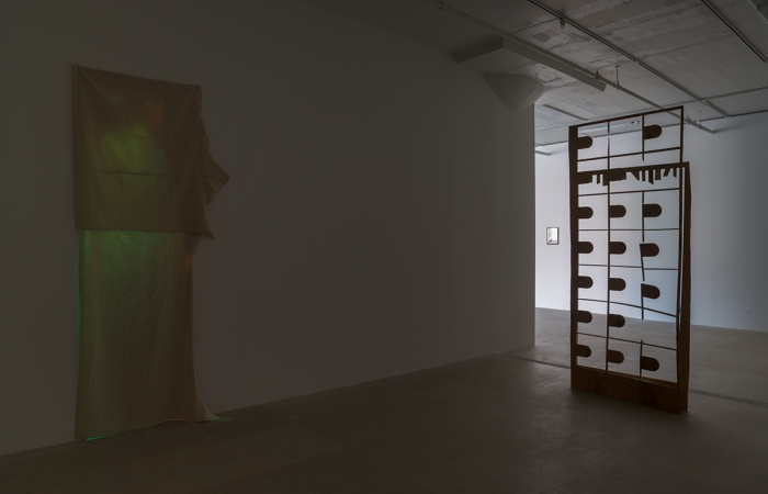Installation view, Greene Naftali, New York, 2013
