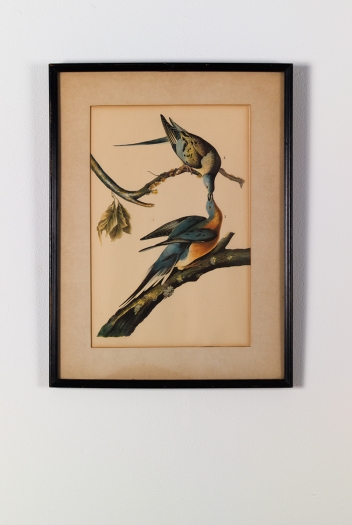 Gedi Sibony, Migratorius, 2013, Matted artwork in frame, 14 x 10 1/2 inches (35.6 x 26.7 cm)