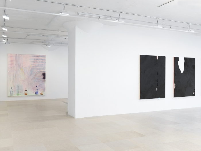 Monika Baer, Installation view, on hold, Greene Naftali, New York, 2015