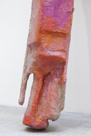 Rachel Harrison Scifi, 2017