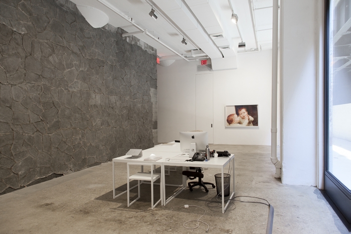 Installation view, For the People of New York City Greene Naftali, New York, 2015