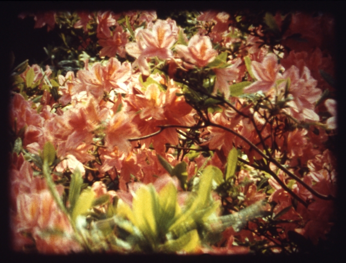 De Rijke/DeRooij, Chun Tian, 1994, 16 mm, color film with sound, 3:00 min