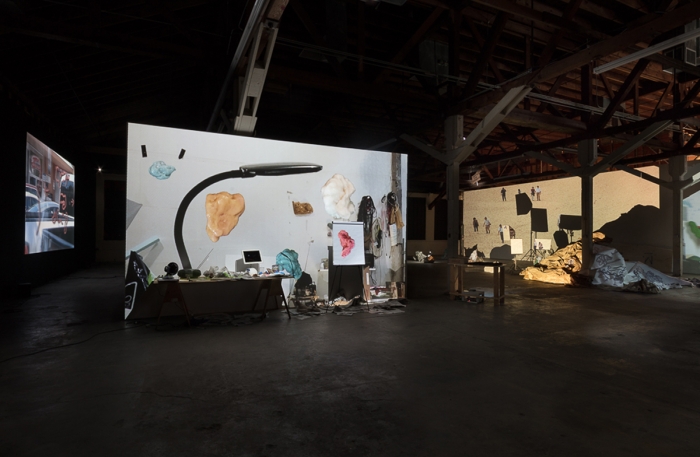 Installation view, Biologue, 356 Mission Road, Los Angeles
