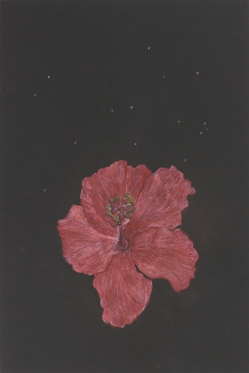 Mayo Thompson Hibiscus, 2015 Colored pencil on paper Paper: 18 x 12 inches (45.7 x 30.5 cm) Frame: 24 15/16 x 18 15/16 inches (63.3 x 48.1 cm)