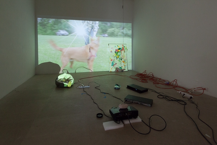 Trisha Baga Installation View Freak Out Greene Naftali New York 2013