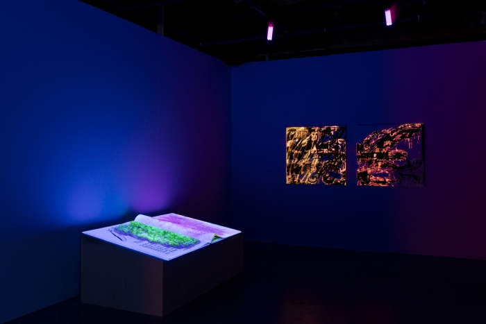 Jacqueline Humphries, Installation view, Contemporary Arts Center New Orleans, 2015