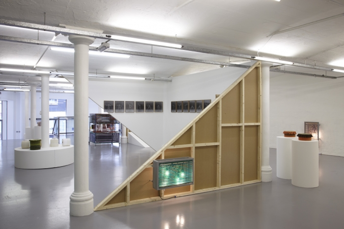 Installation view, Wild Against Gravity, Modern Art Oxford, 2011