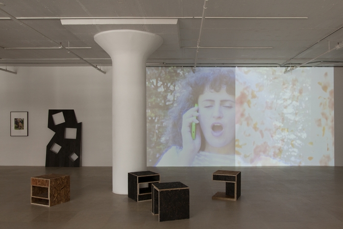 Hilary Lloyd, Installation view, Dock Lands, Greene Naftali, New York, 2017