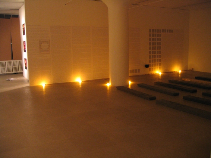 Installation view, Fia Backström, In Memory of HERD INSTINCT 360º, Greene Naftali, New York, 2006