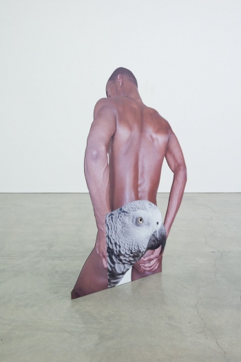 Innate Disposition 1, 2012 digital print plastic cutout displays 180 x 160 x 80 cm