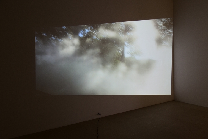 Fog, 2014
