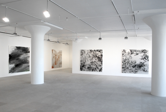 Jacqueline Humphries, Installation view, Greene Naftali, New York, 2006
