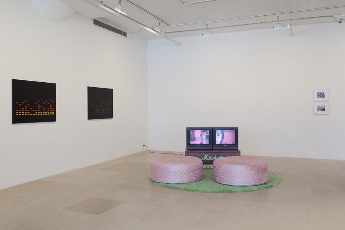 Installation view, EXO EMO, Greene Naftali, New York, 2017