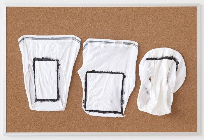 Tony Conrad Untitled (having trouble), 2009 Acrylic, underwear, bulletin board 24 x 36 inches (61 x 91.4 cm)
