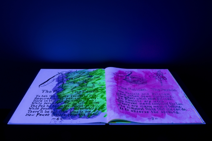 Jacqueline Humphries, Installation view Jacqueline Humphries, âContemporary Arts Center New Orleans, 2015