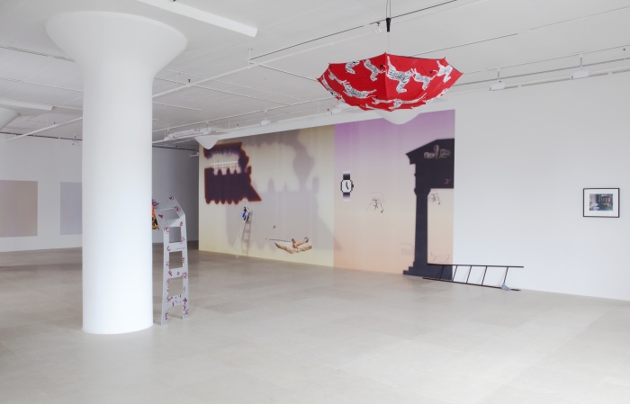 Helen Marten, Installation view, Greene Naftali, New York, 2011