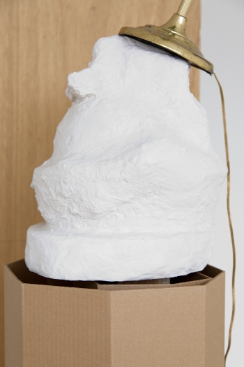 Rachel Harrison, The Fourth Shade, 2000 (detail)