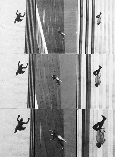 Carolee Schneemann, Terminal Velocity, 2001-2005 (detail)