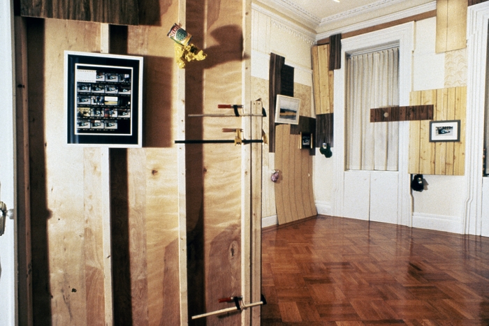 Rachel Harrison Should home windows or shutters be required to withstand a direct hit from an eight-foot-long two-by-four shot from a cannon at 34 miles an hour, without creating a hole big enough to let through a three-inch sphere?, Arena Gallery, Brooklyn, 1996