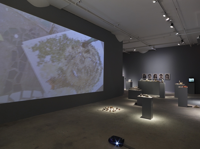 Installation view, Orlando, Greene Naftali, New York, 2015