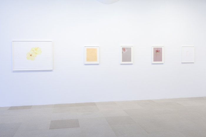 Mayo Thompson, Installation View, 8th Floor, Greene Naftali, New York, 2015