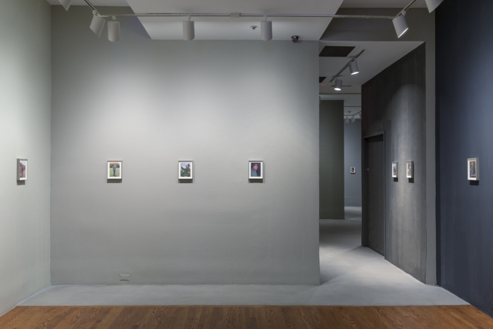 Lutz Bacher, Installation View, The Long March, 80WSE, New York, 2018 