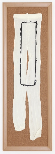 Tony Conrad Untitled (and counting), 2009 Acrylic, underwear, bulletin board 36 x 12 inches (91.4 x 30.5 cm)