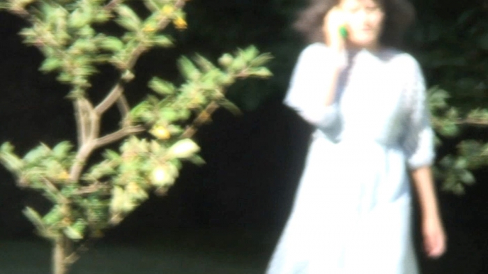 Hilary Lloyd, Marta, 2017 (still)