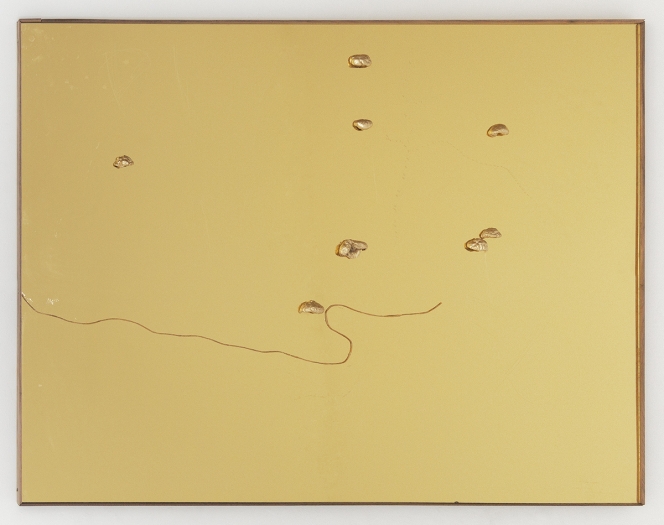 Mathieu Malouf Untitled, 2016 Mushrooms, rope, Plexiglass mirror, fiberglass resin, walnut frame 42 1/2 x 54 1/2 x 1/ 1/2 inches (108 x 138.4 x 3.8 cm)