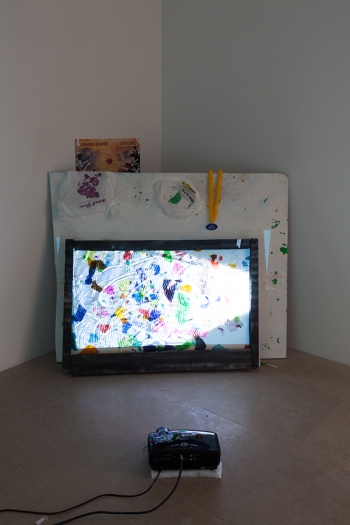 Trisha Baga Installation View Freak Out Greene Naftali New York 2013