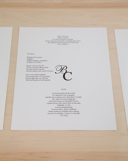The Complete Poem, 2009, wood, plexi, and printed pages, from “A Billion and Change”, 33 1/4 x 96 x 17 1/4 inches