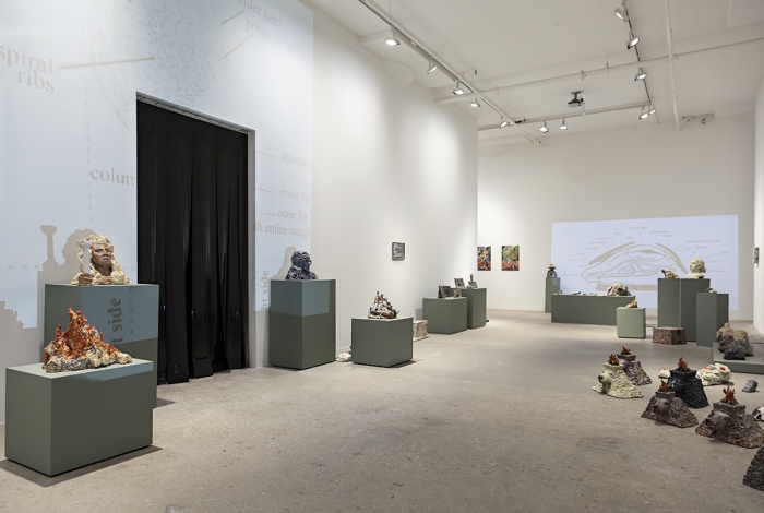 Trisha Baga, Installation view, Mollusca & The Pelvic Floor, 2018