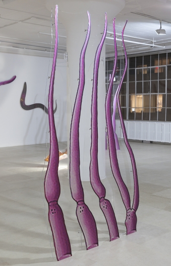 Katja Novitskova Approximation (C. Elegans Dendrite Endings: ASI, ASJ, ASK, ADL), 2016 Digital print on aluminum, cutout display; plexiglass 97 1/2 x 56 x 26 1/4 inches (247.7 x 142.2 x 66.7 cm)