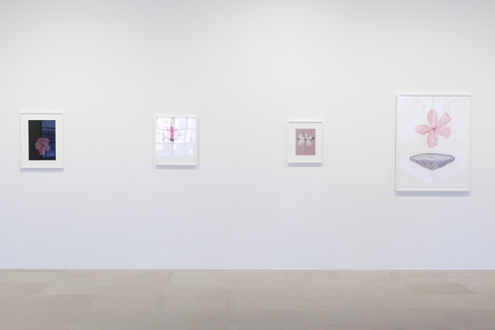 Mayo Thompson, Installation View, 8th Floor, Greene Naftali, New York, 2015